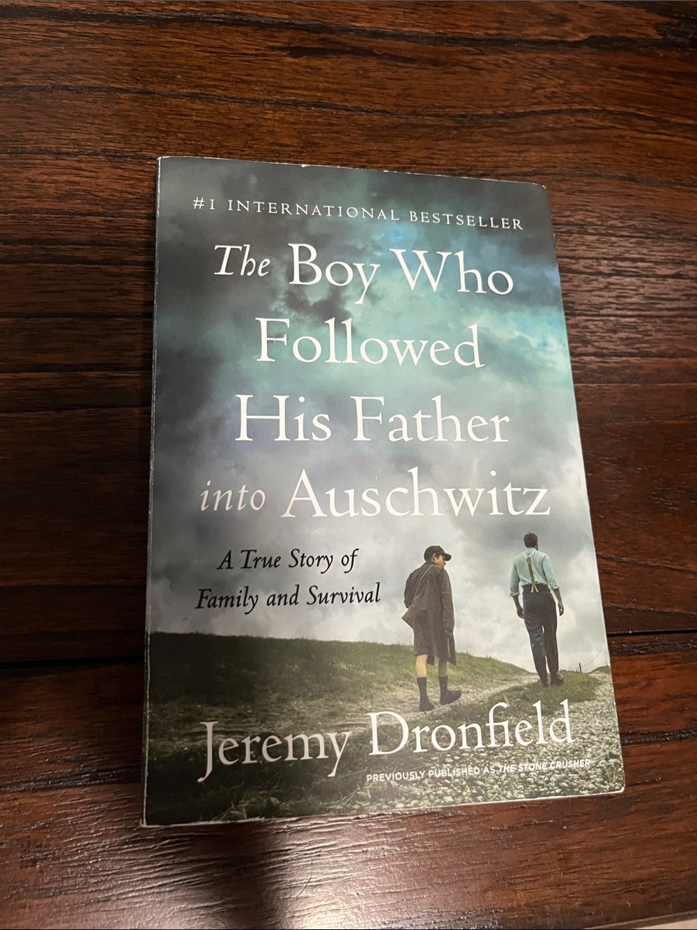 Historical Nonfiction Book Boy Who Followed His Father into Auschwitz Holocaust